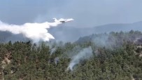 Sinop'taki Orman Yangınına Havadan Müdahale Ediliyor Haberi