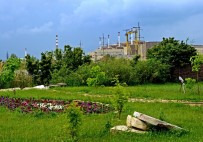 Akkuyu NGS'nin, Türkiye Ekonomisine 70 Milyar Dolar Vergi Geliri Sağlaması Öngörülüyor