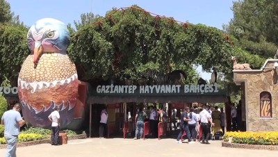 Gaziantep Hayvanat Bahçesi'ne Bayram Tatilinde Rekor Ziyaretçi