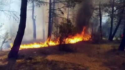 GÜNCELLEME 2- İstanbul'da Aydos Ormanı'nda Yangın