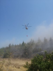 Kırkağaç'taki Orman Yangını Söndürüldü