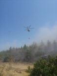 Kırkağaç'taki Orman Yangını Söndürüldü Haberi