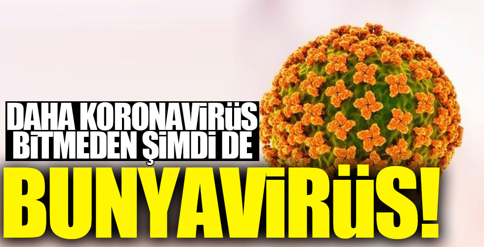 Koronavirüsten sonra şimdi de Bunyavirüs!