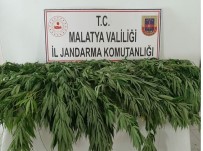 Malatya'da Uyuşturucuya Darbe Haberi