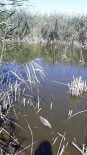 Porsuk'taki Su Azlığı Yüzünden Çiftçiler Mağdur Haberi