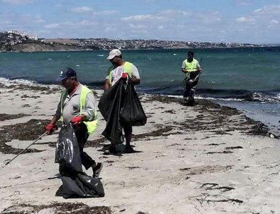 Tekirdağ'ın tatil beldesinde bayram sonrası sahilden 500 ton çöp toplandı