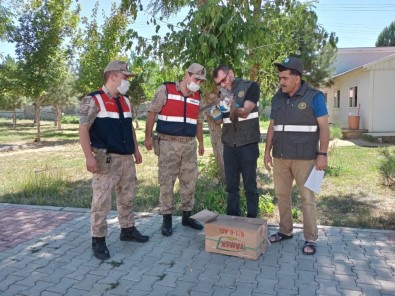 Yaralı Doğana Mehmetçik Şefkati