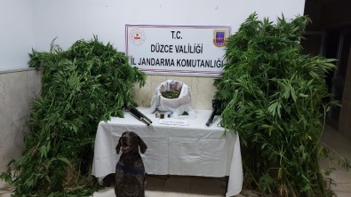 Düzce'de Uyuşturucu Maddelerle Yakalanan Şahıs Gözaltına Alındı