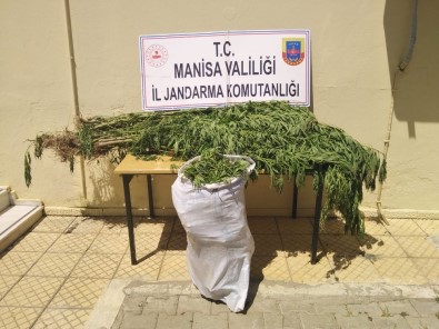 Manisa'da 12 Kilo Kubar Esrarı Çuvalla Taşırken Yakalandılar