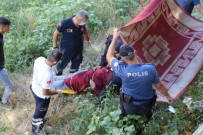 Tatlı Çay'a 5 Metre Yükseklikten Düşen Kadın Ölümden Döndü