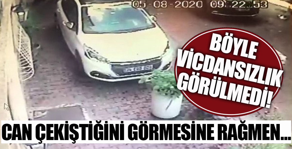 Bu nasıl vicdansızlık? Can çekiştiğini görmesine rağmen...