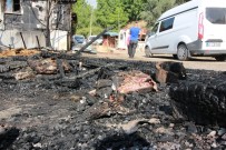 Hobi İçin Aldığı Hamile Koyunlar Çıkan Yangında Telef Oldu