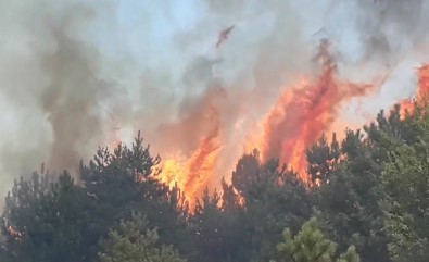 Kastamonu'da 200 Hektarlık Ormanlık Alanda Yangın Çıktı
