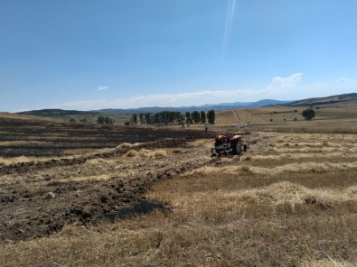 Karabük'te 25 Dönümlük Tarım Arazisi Yandı