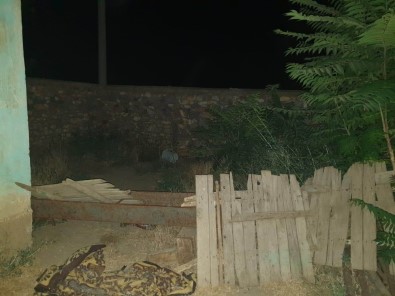Konya'da Evin Bahçesinde Hint Keneviri Ele Geçirildi