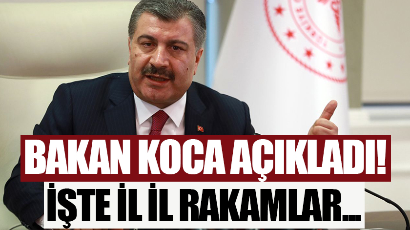 Bakan Koca il il açıkladı!