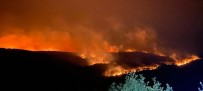Bulgaristan'daki Orman Yangını Türkiye Sınırına Ulaştı
