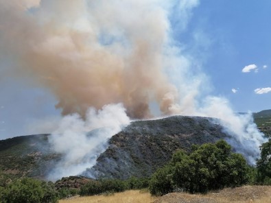 Elazığ'da Orman Yangını