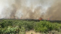 Elazığ'daki Orman Yangını Kontrol Altına Alındı Haberi
