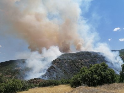 Elazığ'daki Orman Yangını Kontrol Altına Alınmaya Çalışılıyor