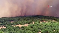 GÜNCELLEME - Elazığ'da 1000 Dekar Ormanlık Alanın Zarar Gördüğü Yangın Kontrol Altına Alındı Haberi