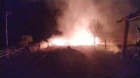 Kastamonu'da Çıkan Yangında 5 Samanlık Ve 500 Balya Saman Küle Döndü Haberi