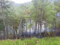 Manavgat'ta Orman Yangını Büyümeden Söndürüldü