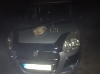 Osmancık'ta Kaçak Avcı Operasyonu