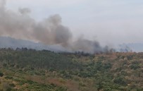 Yangın 15 Kilometre Uzunluğunda Alanda Etkili Oluyor, Helikopter Müdahalesi Başladı Haberi