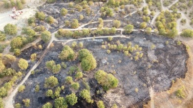 ATV'den Çıkan Yangın 3,5 Dönümlük Alanı Yaktı