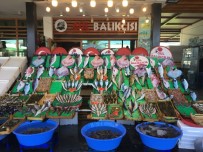 Balıkçılar 'Vira Bismillah' Diyerek Sezona Başladı