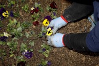 ÇANSERA'da Üretime Devam