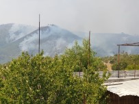 Suriye Sınırındaki Orman Yangını Sürüyor Haberi