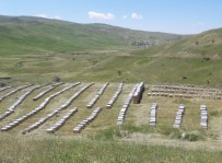 TKDK'dan Kadın Arıcılara 17 Bin Kovan Desteği