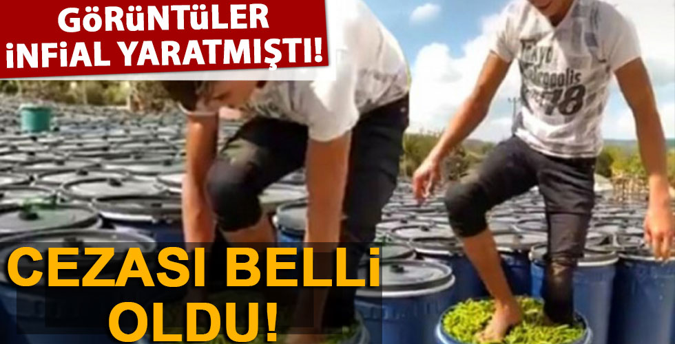 Çanakkale'de infial yaratan görüntüye ceza kesildi