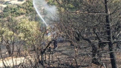 Hatay'da Orman Yangını