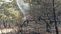 Hatay'da Orman Yangını