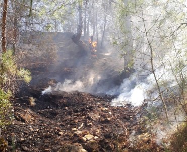 Kavaklıdere'de Aynı Gün 4 Orman Yangın