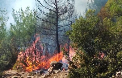 Kavaklıdere Yangını Kontrol Altında