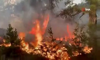 Lübnan'da Orman Yangını Açıklaması 14 Yaralı