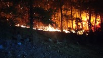 Manavgat'taki Orman Yangını Yerleşim Yerlerine Ulaşmadan Kontrol Altına Alındı