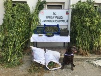 Manisa'da 23 Milyon Liralık Uyuşturucu Ele Geçirildi