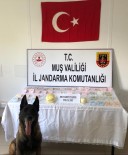 Muş'ta Uyuşturucu Operasyonu Açıklaması 4 Gözaltı