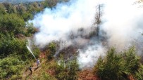 Sinop Erfelek'te Orman Yangını Haberi