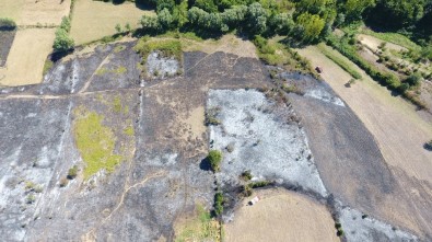 Sinop'ta Yangın Açıklaması 150 Dönüm Tarım Arazisi Zarar Gördü