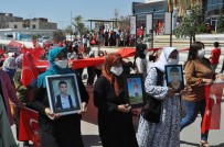 Şırnaklı Kadınlar HDP Binasına Yürüyerek Kan Ve Gözyaşına 'Edi Bese' Dedi Haberi