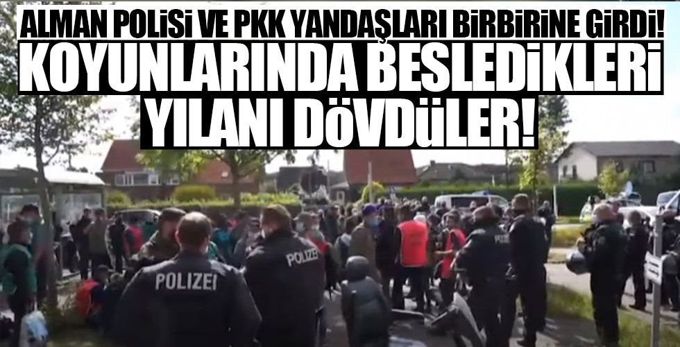 Alman polisi PKK sempatizanı dövdü!