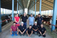 Bu Proje İle Türk Hayvancılığı Dışa Bağımlılıktan Kurutulacak Haberi