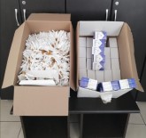 Hatay'da 15 Bin 600 Adet Makaron Ele Geçirildi