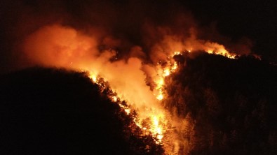 Pozantı'daki Orman Yangınına Müdahale Devam Ediyor